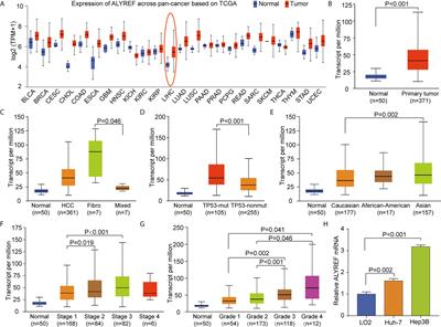 Multi-Omic Analyses of the m5C Regulator ALYREF Reveal Its Essential Roles in Hepatocellular Carcinoma